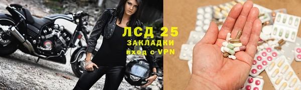 индика Пенза