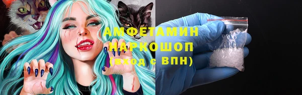 индика Пенза
