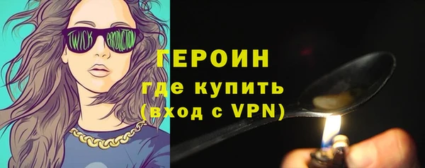 индика Пенза