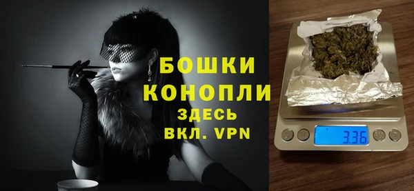 индика Пенза