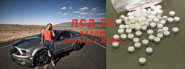 индика Пенза