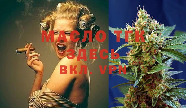 индика Пенза