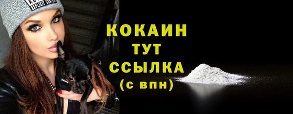 индика Пенза