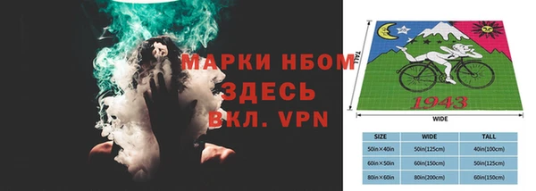 индика Пенза
