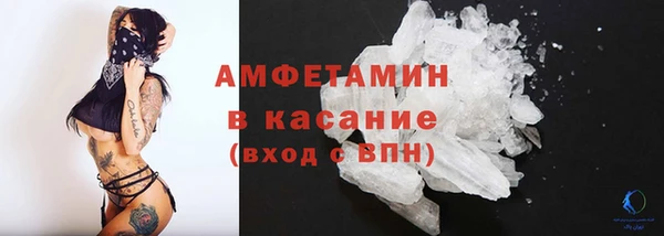 индика Пенза