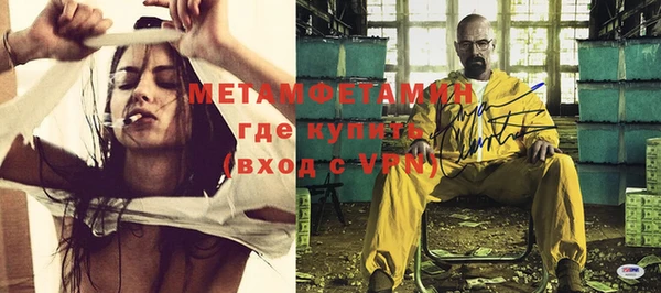 индика Пенза