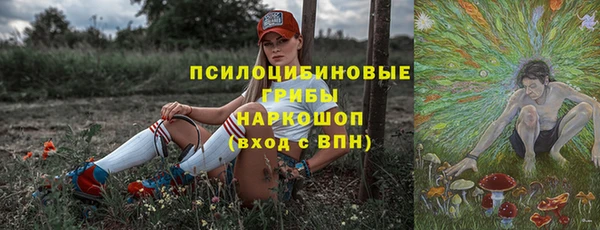 таблы Ельня