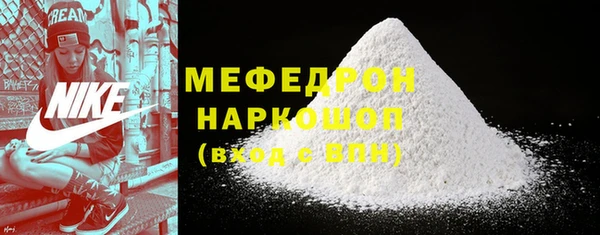 индика Пенза
